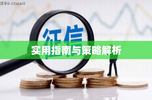 中寮实用指南与策略解析