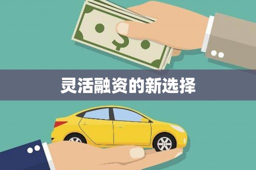 中寮灵活融资的新选择