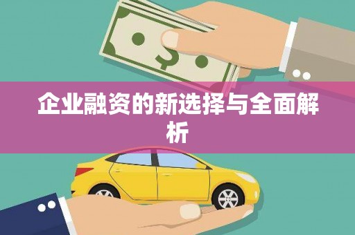 中寮企业融资的新选择与全面解析
