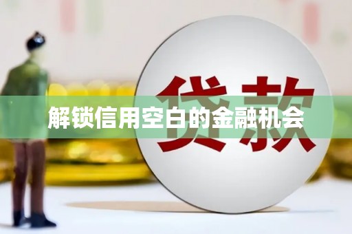 中寮解锁信用空白的金融机会