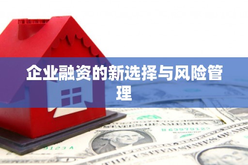 中寮企业融资的新选择与风险管理