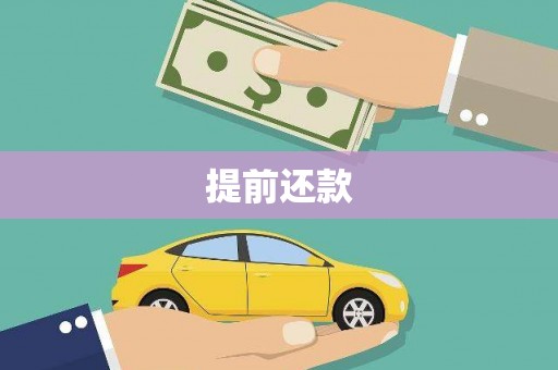 中寮提前还款