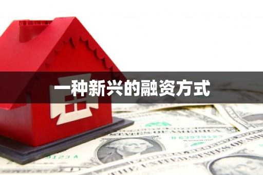 中寮一种新兴的融资方式