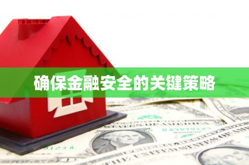 中寮确保金融安全的关键策略