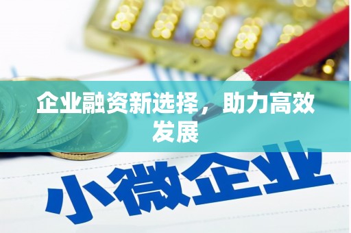 中寮企业融资新选择，助力高效发展