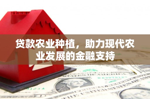 中寮贷款农业种植，助力现代农业发展的金融支持