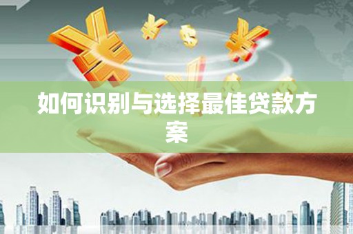 中寮如何识别与选择最佳贷款方案